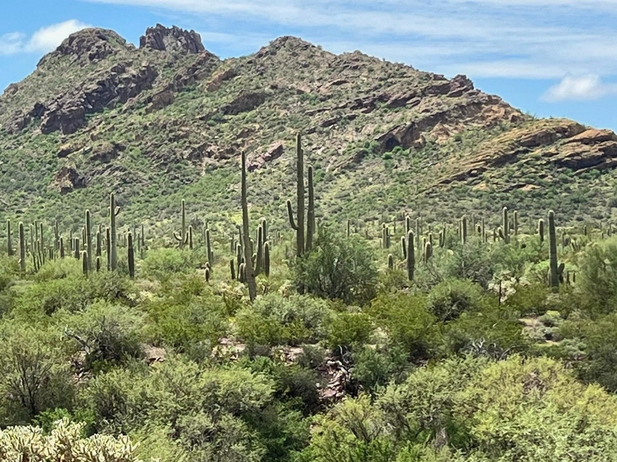 Desert Acreage in Cochise County