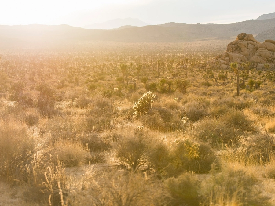 Vacant Lots in Cochise County